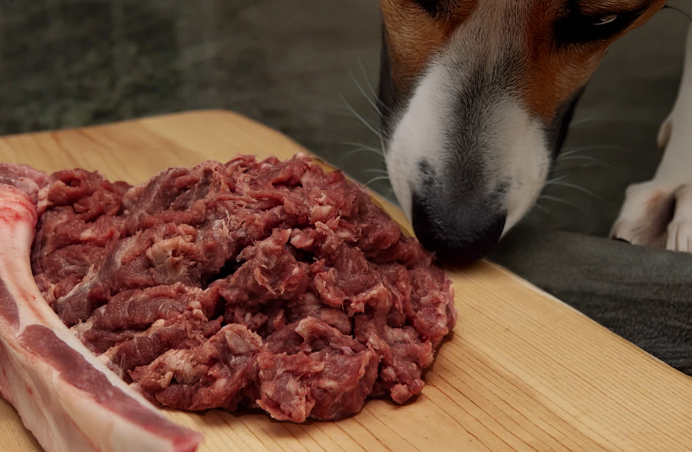 Big Beef Box with a Side o' Bone - Raw PMR Dog Food - 30lb - The Butchers Hound by Montgomery Meats